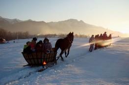 Zakopane Atrakcja Kulig Tarant