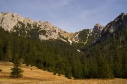 Zakopane Atrakcja Dolina Dolina Kościeliska