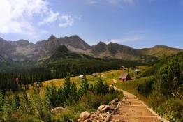 Zakopane Atrakcja Hala Tatrzańska Gąsienicowa