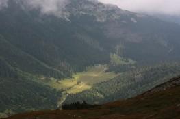 Zakopane Atrakcja Dolina Dolina Kondratowa 